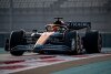 Bild zum Inhalt: McLaren: Piastri nicht mit überzogenen Erwartungen "abschrecken"
