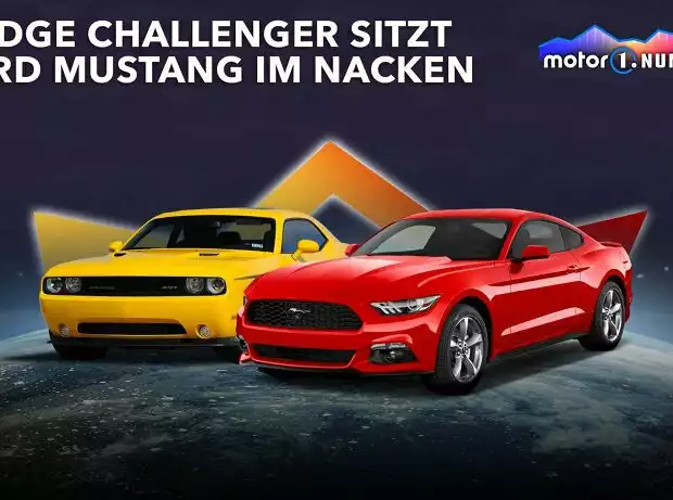 Titel-Bild zur News: