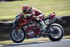 WSBK Phillip Island: Ducati-Doppelsieg in Lauf 2, Razgatlioglu zu Sturz gebracht!