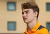 Bild zum Inhalt: Oscar Piastri: McLaren ungefähr so schnell wie AlphaTauri & Haas