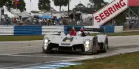 Allan McNish, Rinaldo Capello, Tom Kristensen