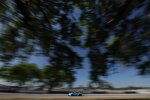 Harry Tincknell 