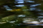 Harry Tincknell 