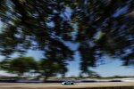 Harry Tincknell 