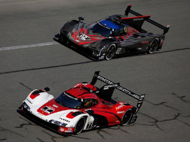 IMSA, Daytona, LMDh, Testfahrten, Porsche 963, Cadillac V-LMDh