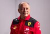 Bild zum Inhalt: Vasseur reagiert auf Medienberichte: Noch nie so viel Macht wie bei Ferrari!