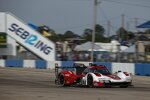 Matt Campbell, Felipe Nasr und Michael Christensen 