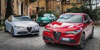 Bild zum Inhalt: Darum wächst Alfa Romeo in Europa gerade so stark