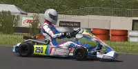 Kart Racing Pro