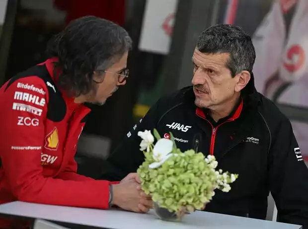 Haas-Teamchef Günther Steiner Titel-Bild zur News: Haas-Teamchef Günther Steiner