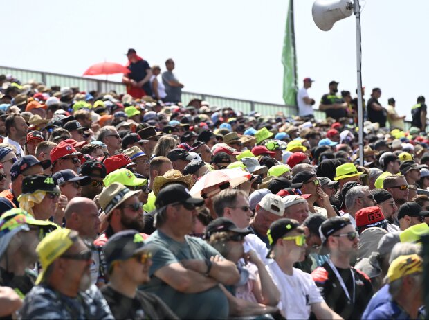 MotoGP-Fans Sachsenring MotoGP-Fans Sachsenring