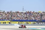 Enea Bastianini (Ducati) 