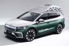 Skoda Roadiaq (2023): Mobiles Büro und Wohnmobil-Einzelstück