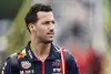 Bild zum Inhalt: AlphaTauri: Ricciardo nur eine Option, falls kein Junior F1-bereit ist