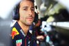 Bild zum Inhalt: Daniel Ricciardo "hat keine Angst" vor AlphaTauri-Rückkehr