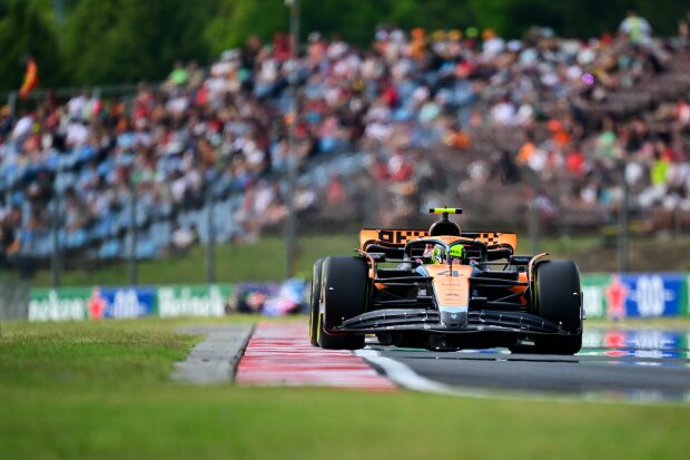 Lando Norris McLaren McLaren F1 ~Lando Norris (McLaren) ~ 