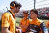 Bild zum Inhalt: 24 Rennen für Renningenieure: McLaren beginnt mit Rotation