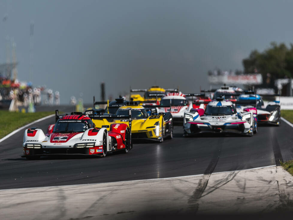 Matt Campbell, Felipe Nasr
