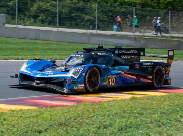 Wayne Taylor Racing hat mit Andretti Autosport zusammengespannt und expandiert 2024 auf zwei Acuras