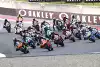 Bild zum Inhalt: Kleine Klassen stärker im Schatten der MotoGP? Lingg kann das nicht bestätigen