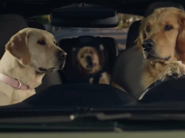 Titel-Bild zur News: Subaru Hunde-Werbespot