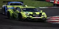 Mirko Bortolotti, Ricardo Feller