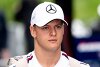 Bild zum Inhalt: Formel-1-Liveticker: Mick Schumacher konnte Potenzial "nie zeigen"