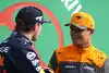 Bild zum Inhalt: Ralf Schumacher: Kann mir Norris als Verstappen-Teamkollege vorstellen