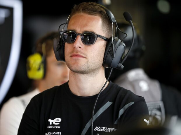 Stoffel Vandoorne könnte Gustavo Menezes bei Peugeot ersetzen Stoffel Vandoorne könnte Gustavo Menezes bei Peugeot ersetzen