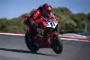 Bild zum Inhalt: Supersport-Weltmeister 2023: Nicolo Bulega holt mit Ducati vorzeitig den Titel
