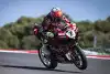 Bild zum Inhalt: WSBK Portimao (Lauf 2): Bautista gewinnt episches Duell mit Razgatlioglu