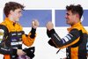 Bild zum Inhalt: Verstappen: McLaren hat das "beste Fahrerduo" der Red-Bull-Verfolger