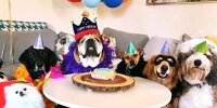 Roscoe Hamilton feiert seinen elften Geburtstag mit fünf engen Freunden