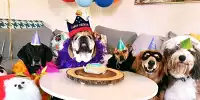 Roscoe Hamilton feiert seinen elften Geburtstag mit fünf engen Freunden