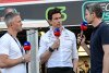 Bild zum Inhalt: Ralf Schumacher: Hamilton und Russell "scheinen sich gar nicht grün zu sein"