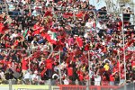 Fans in Valencia