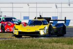Renger van der Zande und Scott Dixon 