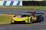 Renger van der Zande und Scott Dixon 