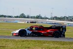 Felipe Nasr, Matt Campbell und Josef Newgarden 