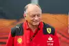 Bild zum Inhalt: Vasseur: "Aggressivere" Mentalität bei Ferrari der größte Fortschritt 2023