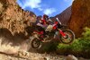 Bild zum Inhalt: Motocross-Einstieg von Ducati: Wird das Offroad-Programm zur Ablenkung?