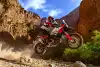 Bild zum Inhalt: Motocross-Einstieg von Ducati: Wird das Offroad-Programm zur Ablenkung?