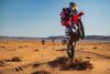 Bild zum Inhalt: Honda rüstet für Rallye Dakar auf: Sechs Fahrer und überarbeitete CRF450Rally