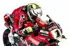 Bild zum Inhalt: WSBK 2024: Ducati zeigt die Lackierung von Alvaro Bautistas Panigale V4R