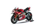 Die Ducati Panigale V4R von Nicolo Bulega