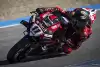 Bild zum Inhalt: WSBK-Test Jerez (Mittwoch): Bautista mit Rückstand, Bulega und BMW stark!