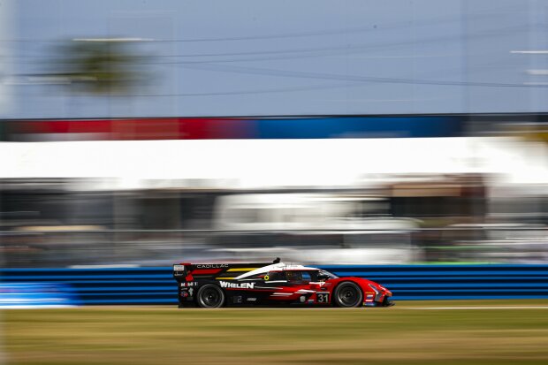 Jack Aitken Tom Blomqvist  ~Jack Aitken und Tom Blomqvist ~ 