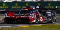 Jenson Button fährt die 24 Stunden von Daytona 2024 für Wayne Taylor Racing