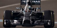 Lewis Hamilton jubelt über seinen Formel-1-WM-Titel 2014