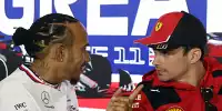 Bild zum Inhalt: Surer: Hamilton könnte es bei Ferrari wie Schumacher bei Mercedes gehen